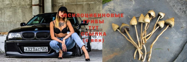 прущий лед Белоозёрский